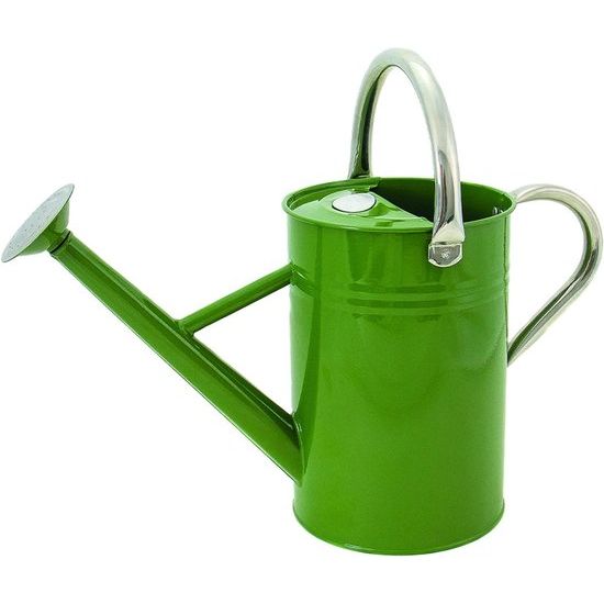 Gegalvaniseerde Gieter 5 Liter – Robuust, Roestvrij, Voor Tuin & Planten Water Geven