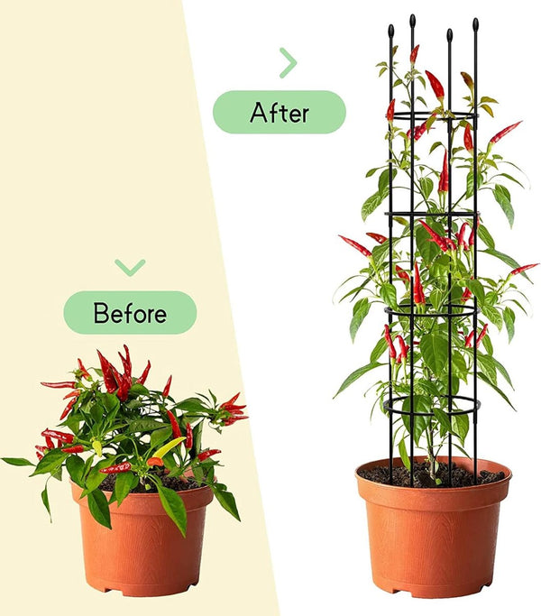 Obelisk Obelisk, plantensteun, klimhulp, tuinplant, steunstangen, geen BPA-ingrediënten, rankrooster, kamerplanten en buitenplanten voor rozen en bloemen (146 cm)