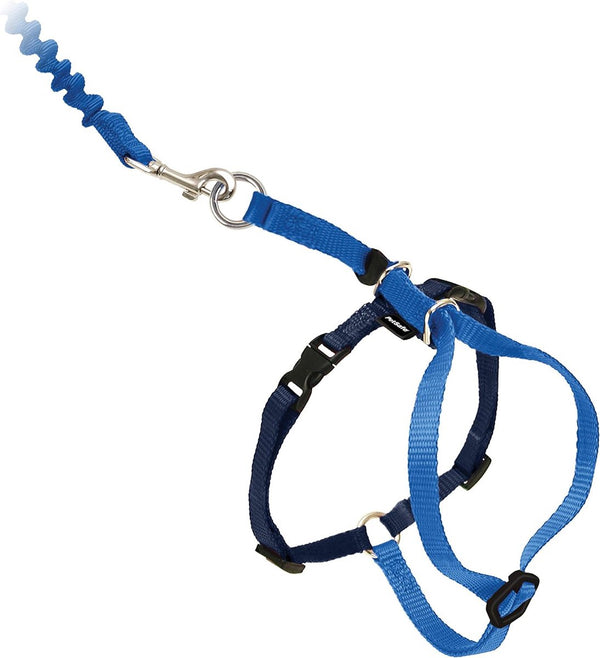 Kattentuigje, met elastische bungee-riem, voor wandelingen met uw kat, maat L, blauw