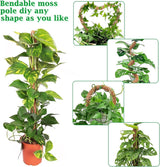 2-delige set plantenstaven, 120 cm, voor Monstera, klimhulp, klimstaven, mosstokken, buigbare plantenstaven, kokosstaven met plantenbinder voor klimplanten, planten, kokosvezel, verlengbaar