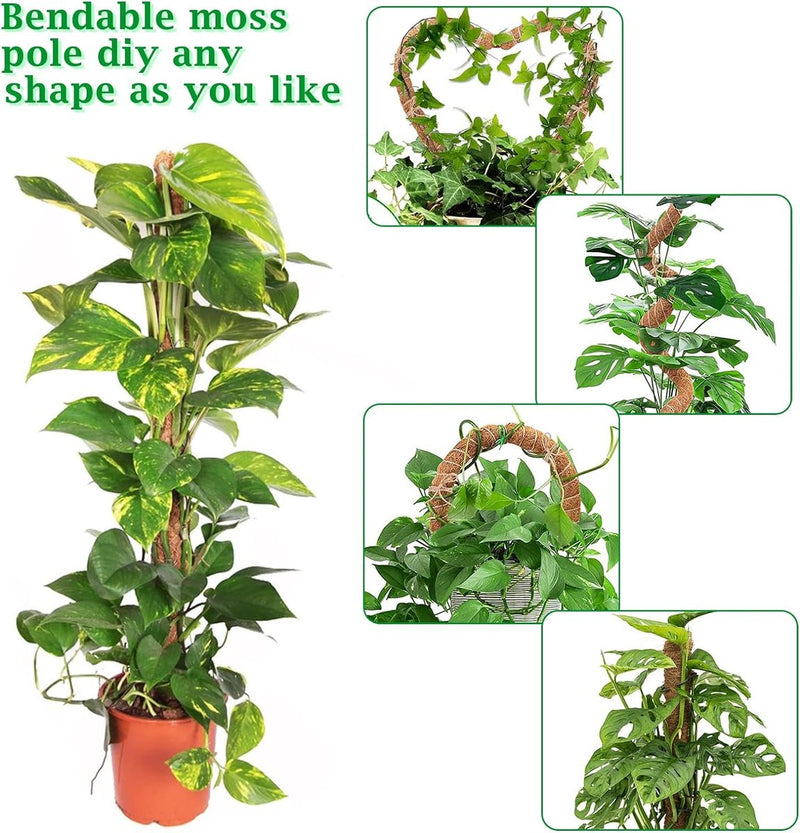 2-delige set plantenstaven, 120 cm, voor Monstera, klimhulp, klimstaven, mosstokken, buigbare plantenstaven, kokosstaven met plantenbinder voor klimplanten, planten, kokosvezel, verlengbaar