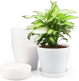 8 stuks 14 cm bloempotten met gat, kleine potten cactussen, kunststof plantenpotten, rond, bloempot met onderzetter voor kantoor en balkon, wit