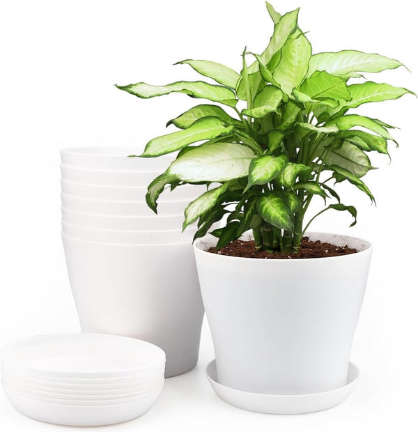 8 stuks 14 cm bloempotten met gat, kleine potten cactussen, kunststof plantenpotten, rond, bloempot met onderzetter voor kantoor en balkon, wit