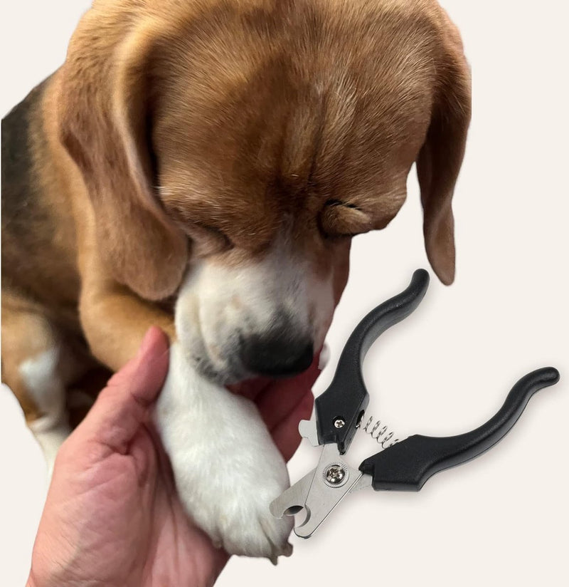 klauwschaar klauwtang voor honden en katten, klauwverzorging voor thuis eenvoudig en veilig met afstandhouder en veiligheidsvergrendeling