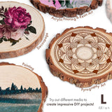 Houten schijven 20 cm - 23 cm diameter 8 stuks, boomstam schijven, kleine boomschijven 20 cm diameter, houten schijf rond, boomschijven 20 cm, ronde houten plaat, hout Kerstmis