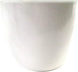 Mini Kunstvaren in Pot 30cm Kunststof Zuidelijke Houtvaren