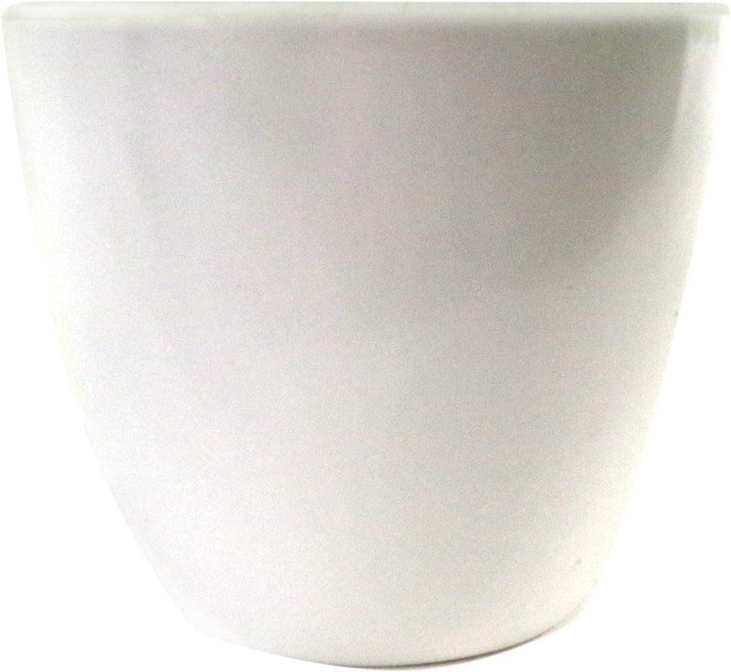 Mini Kunstvaren in Pot 30cm Kunststof Zuidelijke Houtvaren