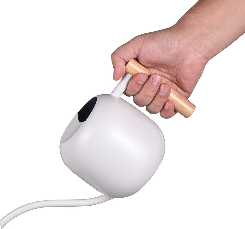 1 liter houten handvat gieter, kleinere potplanten, roestvrijstalen gieter met lange uitloop en comfortabel voor kamerplanten vetplanten (wit)