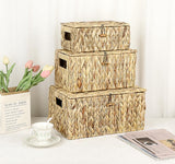 Natuurlijke opbergmand van waterhyacint zeegras, geweven waterdichte opbergkist met deksel in de woonkamer, keuken, kledingkast voor kleding, boeken, groenten, cosmetica, 31 x 18 x 16 cm