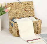 Natuurlijke opbergmand van waterhyacint zeegras, geweven waterdichte opbergkist met deksel in de woonkamer, keuken, kledingkast voor kleding, boeken, groenten, cosmetica, 31 x 18 x 16 cm