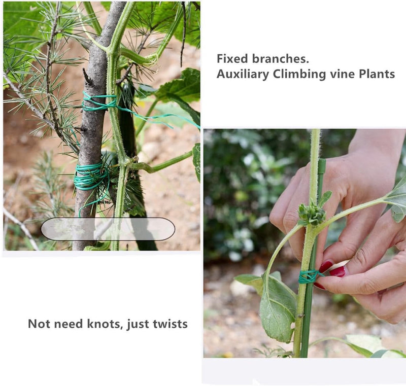 Tuindraad, 200 m, binddraad, plantendraad met afsnijapparaat, bloemdraad, groen, voor planten, binddraad, met kunststof ommantelde draad, groen, voor plantensteun