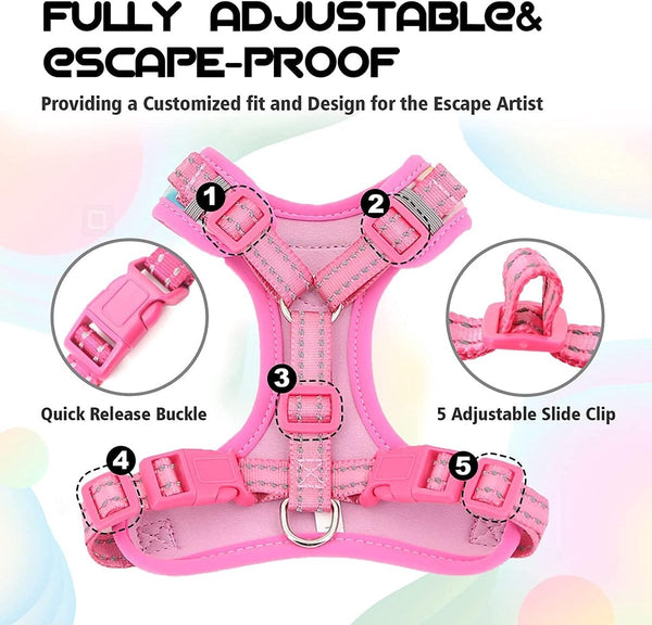 Supet Kattentuig en Lijn Set Escape Safe Kittentuigje Verstelbare Kattenvest Harnas met Reflecterende Strips Universele Kattenlijn en Harnas voor Katten Puppy's