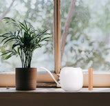 1 liter houten handvat gieter, kleinere potplanten, roestvrijstalen gieter met lange uitloop en comfortabel voor kamerplanten vetplanten (wit)