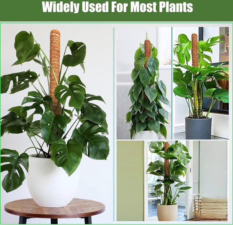 plantenstok monstera 70 cm en 120 cm plantenstok kokos, buigbare kokosvezelmosstok, planten – Ribbi