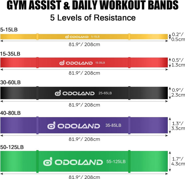 Fitnessbandenset pull-up weerstandsbanden in 5 verschillende treksterktes – expanderbandenset incl. optrekband, weerstandsbanden, handgrepen, voetlussen, deuranker, draagtas