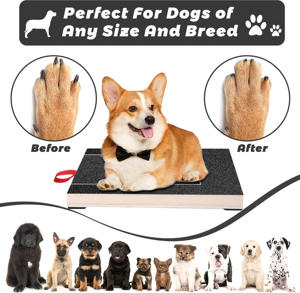 Krabplank voor honden, krabplank voor hondennagels met geïntegreerde traktatiedoos Schuurpapier Multifunctioneel stressvrij krabkussen voor honden voor nagelverzorging van huisdieren Schuren