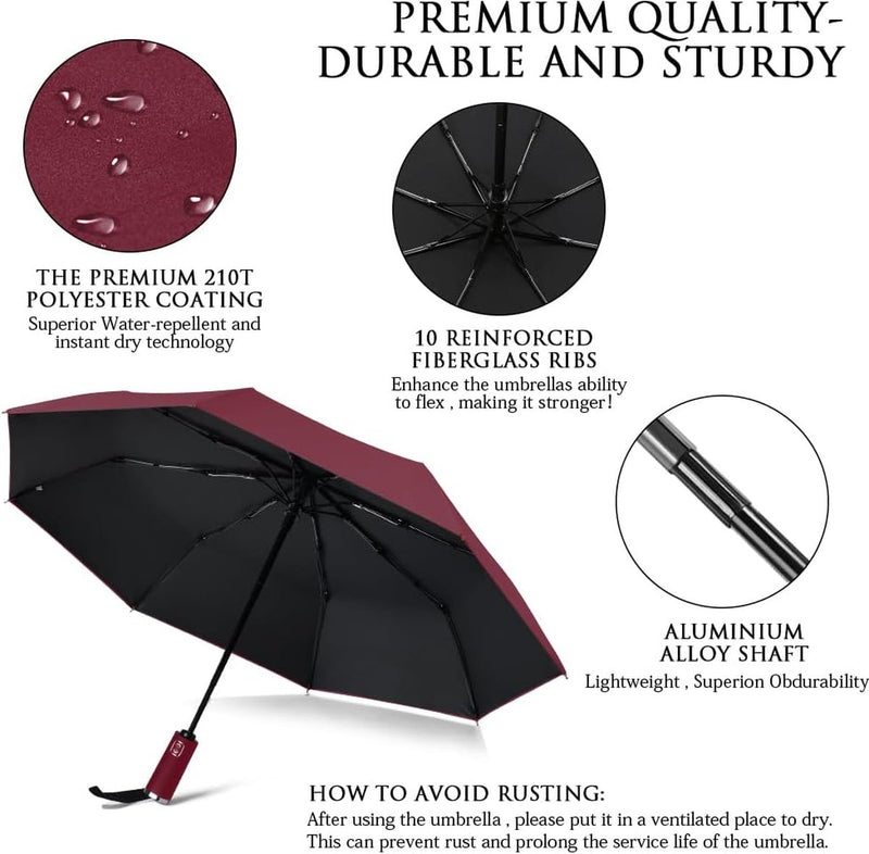 Paraplu, stormbestendige opvouwbare paraplu, 10 ribben met automatisch openen/sluiten, 210T waterdichte coating, 99% UV-bescherming paraplu voor volwassenen en kinderen