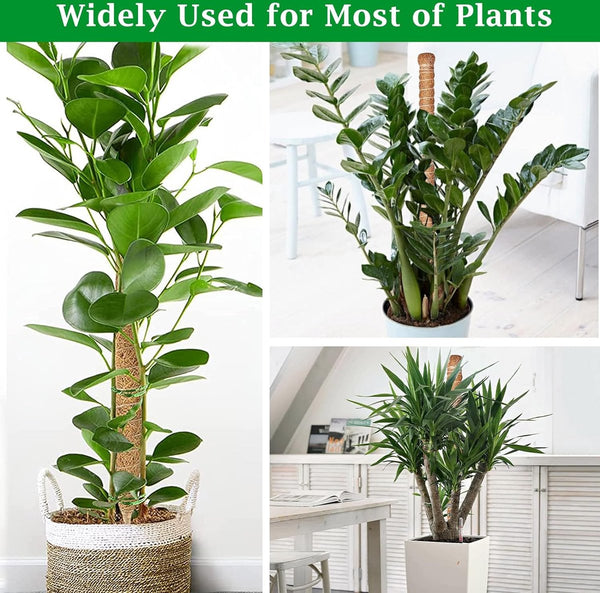 2-delige set plantenstaven, 120 cm, voor Monstera, klimhulp, klimstaven, mosstokken, buigbare plantenstaven, kokosstaven met plantenbinder voor klimplanten, planten, kokosvezel, verlengbaar