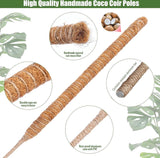 70 cm en 120 cm plantenstok kokos, buigbare kokosvezelmosstok, plantenstok voor klimplanten, natuurlijke plantensteun met accessoires, 2 stuks