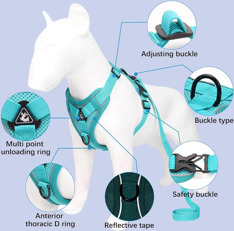 Kattentuig en kattenriemset, automatisch intrekbare hondenriem met tuigje voor katten, ontsnappingsbestendige kattenriem, kattentuigjeset met riem voor katten, kittens, honden