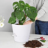 Bloempot, 25,4 cm, set van 2, kunststof bloempot met irrigatiesysteem, modern, voor binnen en balkon, tuin, planten, vetplanten, cactus (wit)