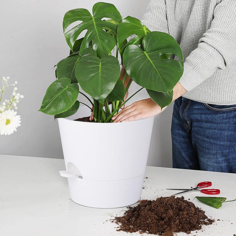 Bloempot, 25,4 cm, set van 2, kunststof bloempot met irrigatiesysteem, modern, voor binnen en balkon, tuin, planten, vetplanten, cactus (wit)