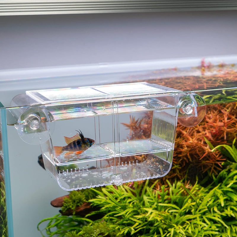 Opkweekbak aquarium (M), opbergbak/opbergbak voor aquarium, babybadje, quarantainebekken, kweekbekken - 208 x 97 x 100 mm