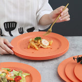 25 cm bordenset van 8, afbreekbare, gezonde, onbreekbare plastic borden, taartborden voor kinderen en volwassenen, lichte pastaborden, BPA-vrije dinerborden, magnetrons