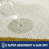 Schoonloopmat voor binnen, 86 x 150 cm, antislip deurmat, wasbare schoonloopmat, absorberende deurmat voor hond, ingang, voordeur