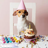 2 stuks cakepopstandaard, met 200 cakepopstels, cakepopstandaard, 20 gaten, lollipop standaard, voor bruiloft, verjaardag, dessert, tafel, feestdecoratie