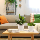 8 stuks 14 cm bloempotten met gat, kleine potten cactussen, kunststof plantenpotten, rond, bloempot met onderzetter voor kantoor en balkon, wit