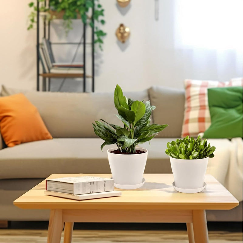8 stuks 14 cm bloempotten met gat, kleine potten cactussen, kunststof plantenpotten, rond, bloempot met onderzetter voor kantoor en balkon, wit