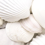 Klaar om op te hangen - wandafbeeldingen set schelpen zand - collage woonkamer N001735a, 30x40 cm - 3 foto's