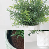 4 stuks mini-kunstplanten, klein, kunstplanten, plastic, nepplanten voor slaapkamer, badkamer, keuken, thuis, binnendecoratie