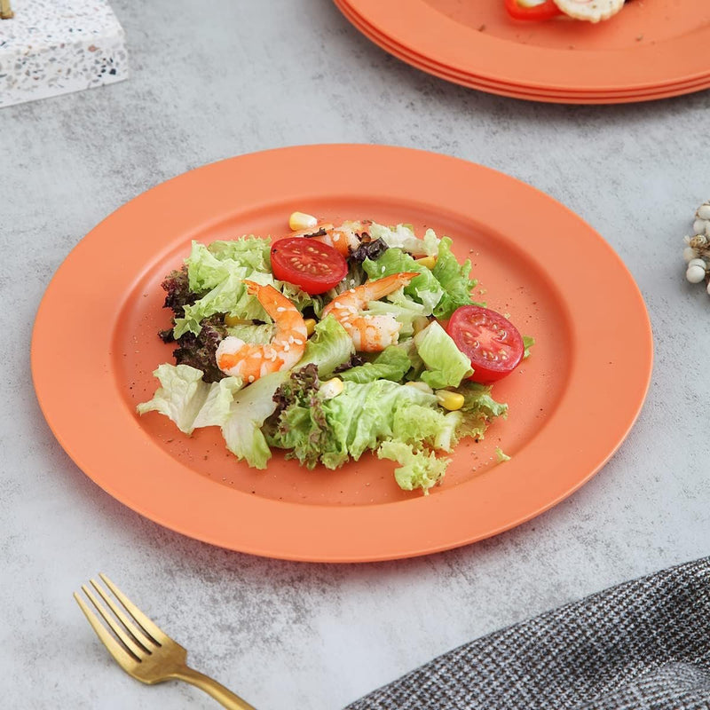 25 cm bordenset van 8, afbreekbare, gezonde, onbreekbare plastic borden, taartborden voor kinderen en volwassenen, lichte pastaborden, BPA-vrije dinerborden, magnetrons