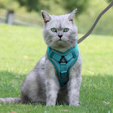 Kattentuig en kattenriemset, automatisch intrekbare hondenriem met tuigje voor katten, ontsnappingsbestendige kattenriem, kattentuigjeset met riem voor katten, kittens, honden