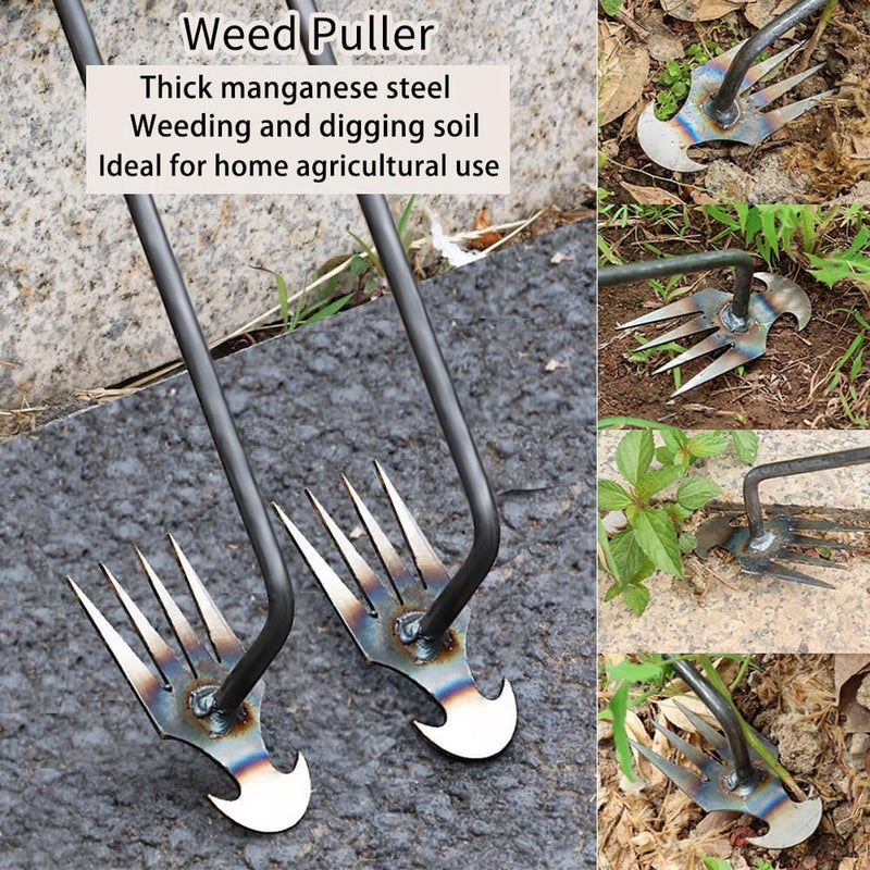 Set van 2 roestvrijstalen onkruidsnijders, paardenbloemsnijders, onkruidtrekkers, voegenschraper met handvat, onkruidverwijderingsgereedschap, onkruidtrekkergereedschap, handonkruidsnijder voor tuinieren