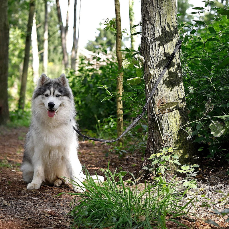 Verstelbare hondenriem met reflecterende strepen Multifunctionele lijn hoge kwaliteit trainingslijn lengte 200 cm zwart