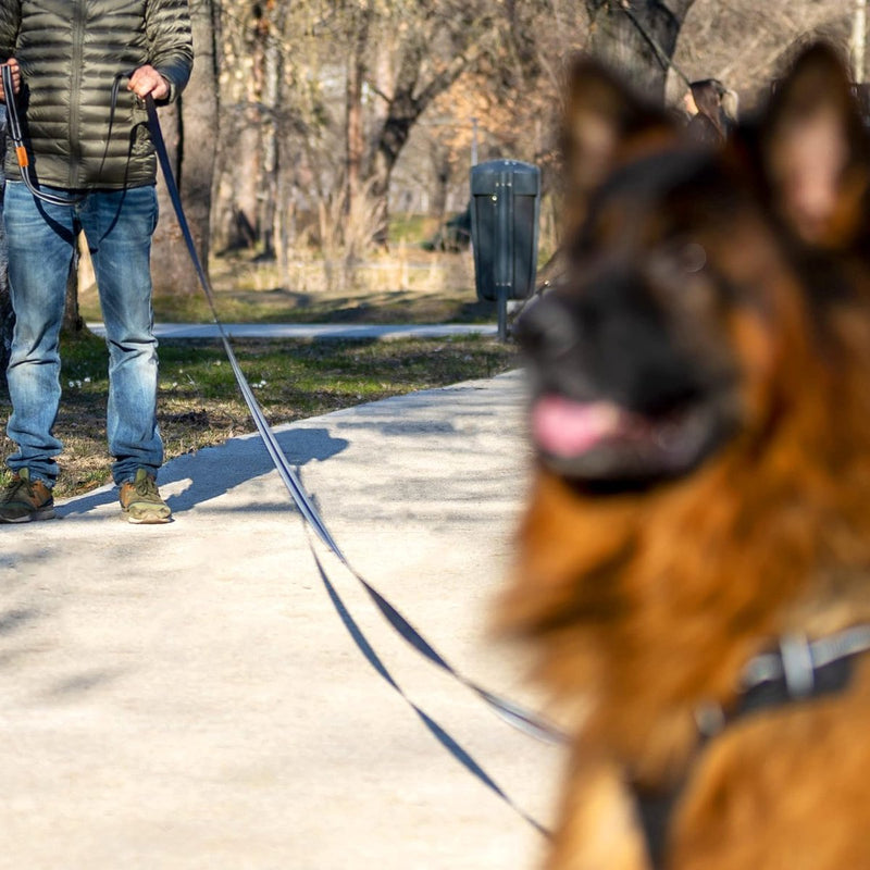 Terugroeplijn voor honden 5 m / 7 m / 10 m / 15 m / 20 m - Robuuste hondenlijn met handgreepvulling - Terugroeplijn voor kleine, middelgrote en grote honden - Trainingslijn voor honden met gaasvak