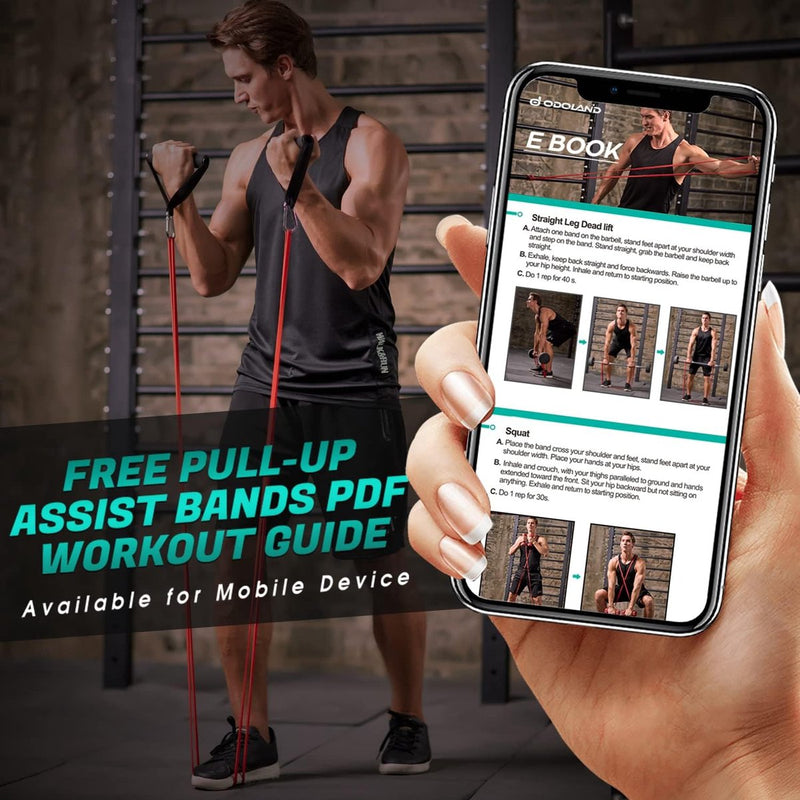 Fitnessbandenset pull-up weerstandsbanden in 5 verschillende treksterktes – expanderbandenset incl. optrekband, weerstandsbanden, handgrepen, voetlussen, deuranker, draagtas