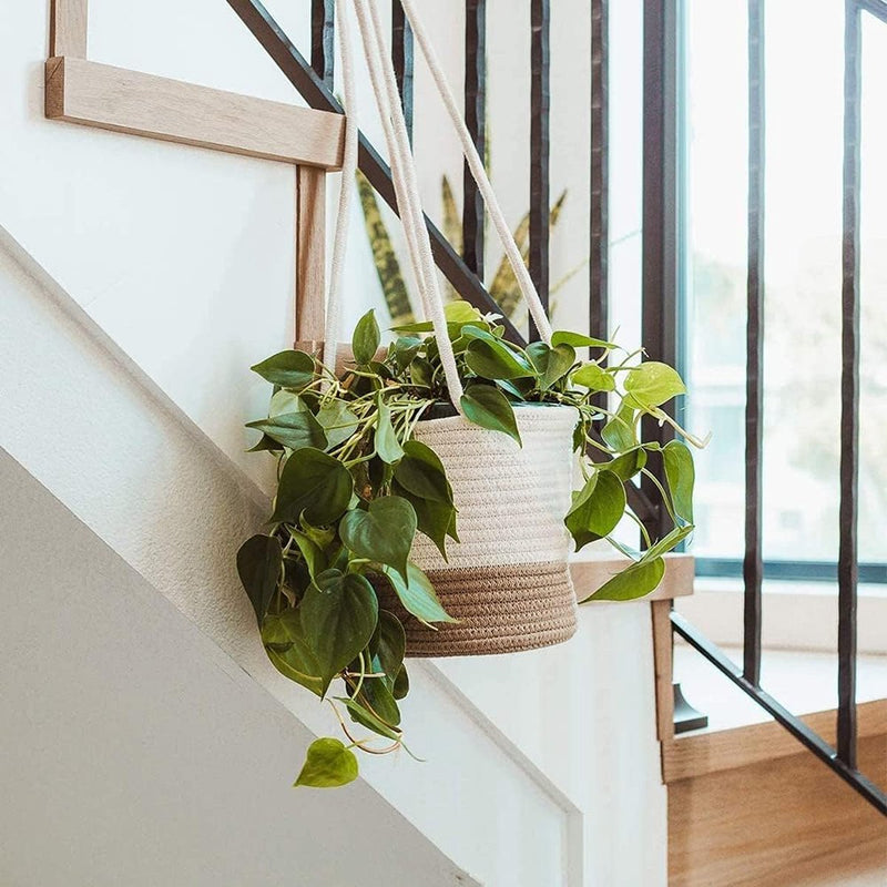 Hangende bloempotten, 20 cm, zeegras, plantenpot, hangende plantenmand, natuurlijk katoen, handgeweven bloemenhanger, plantenhanger met lang hangend touw voor binnen en buiten (groot)