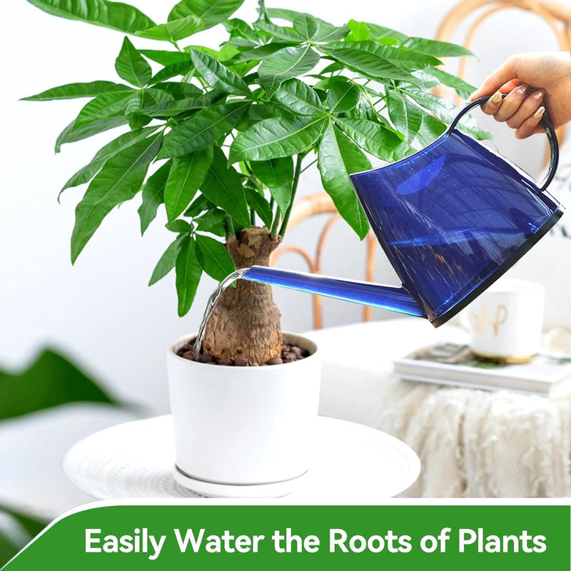 Gieter voor kamerplanten, 1,2 l, plantengieter met lange uitloop, kleine kan, transparant voor tuinbloem (blauw)