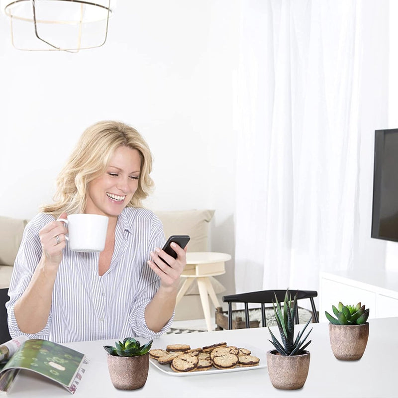 3 stuks kunstvetplanten, kunstplanten met potten, tafeldecoratie, decoratieve planten, bureauplant voor badkamer, woonkamer, kantoor (A