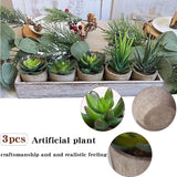 3 stuks kunstvetplanten, kunstplanten met potten, tafeldecoratie, decoratieve planten, bureauplant voor badkamer, woonkamer, kantoor (A