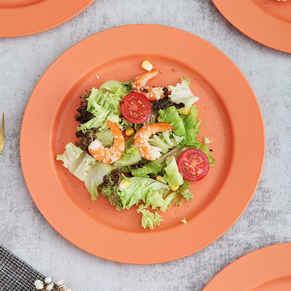 25 cm bordenset van 8, afbreekbare, gezonde, onbreekbare plastic borden, taartborden voor kinderen en volwassenen, lichte pastaborden, BPA-vrije dinerborden, magnetrons