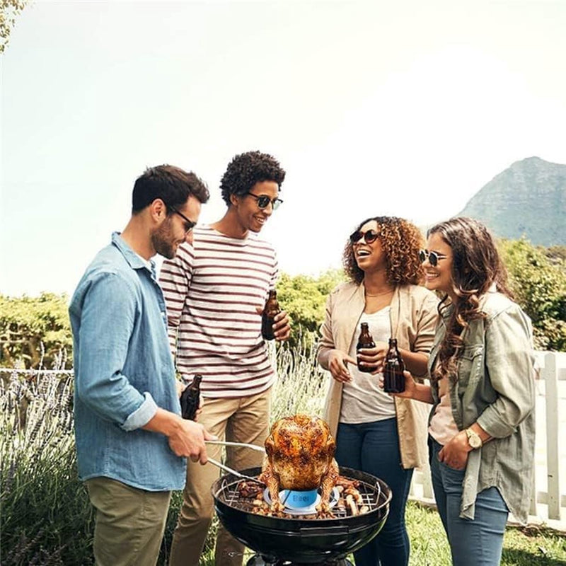 Kippenbraad, kippengrill van koolstofstaal, demonteerbare kippenbrader met afdruipbak, voor oven of grill, accessoires, kippenbrader, thuis BBQ