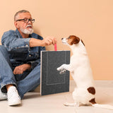 Krabplank voor honden, krabplank voor hondennagels met geïntegreerde traktatiedoos Schuurpapier Multifunctioneel stressvrij krabkussen voor honden voor nagelverzorging van huisdieren Schuren