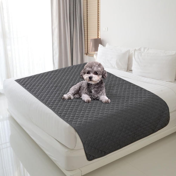 Waterdichte hondendeken, 210 x 130 cm, robuuste hondenmat als bescherming voor bank en bed, antislip hondendeken, ook geschikt voor grote honden, machinewasbaar (grijs)