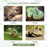 Terrarium voor reptielen en amfibieën, transparante kunststof reptielenkweekbox voor schildpad, hagedis, spide, hoornkikker, draagbare reptielenvoederbox, S (L17,8 x B 12 x H 12,7 cm)