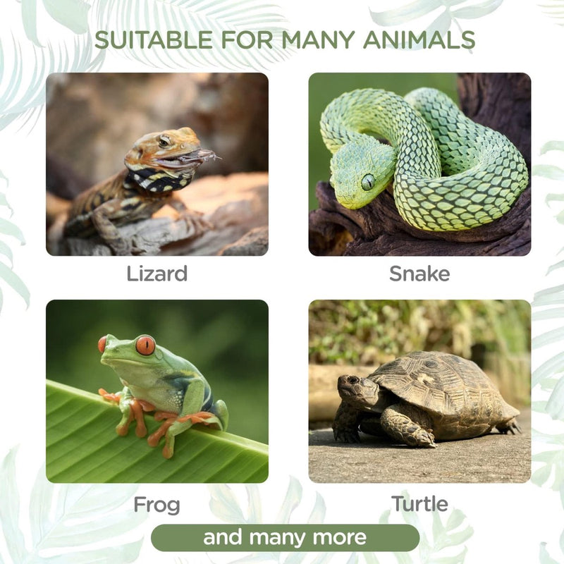 Terrarium voor reptielen en amfibieën, transparante kunststof reptielenkweekbox voor schildpad, hagedis, spide, hoornkikker, draagbare reptielenvoederbox, S (L17,8 x B 12 x H 12,7 cm)